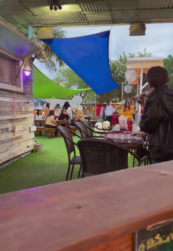 The Dog Bar